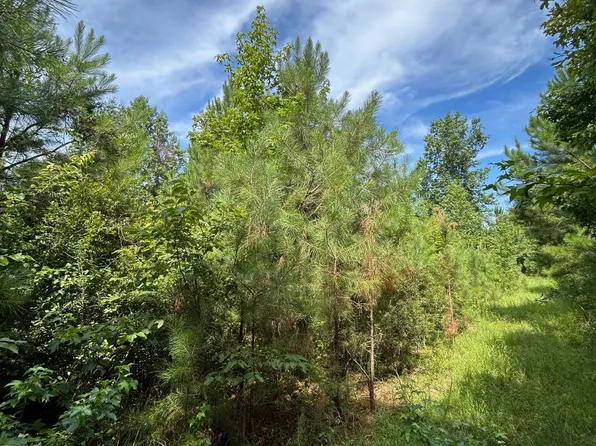 0 Columbia Road 444, Stephens, AR 71764