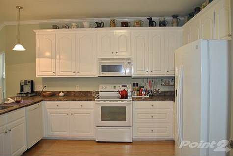 4th image of 9984 Perdido Vista Dr
