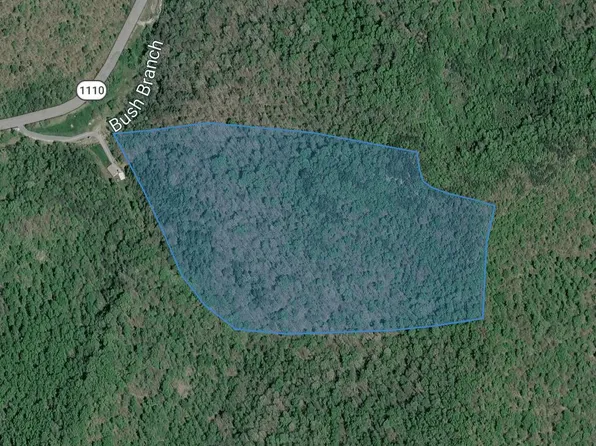 0 Bushes Br, Jackson, KY 41339