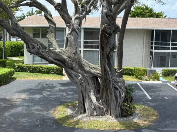 620 Horizon W #202, Boynton Beach, FL 33435