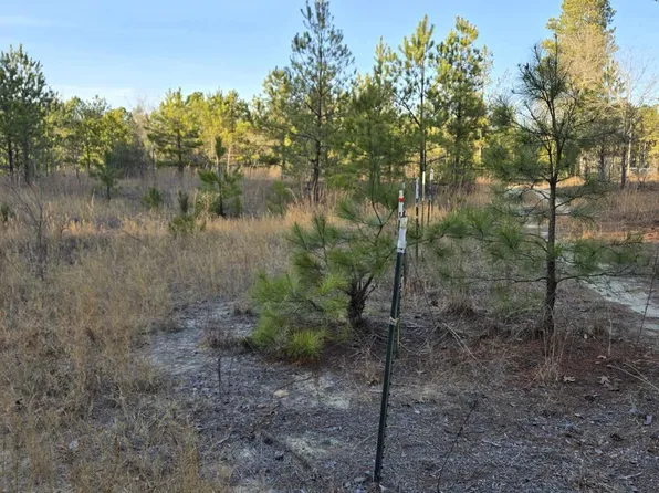 Tbd Dirt Road, Hamlet, NC 28345