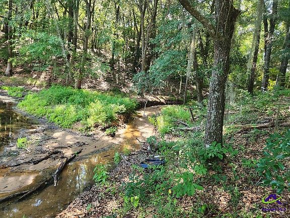 5th image of 0 Lake Susie Rd
