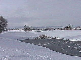 Back Yard SW Pond of 10th green