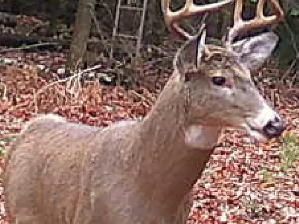 0 NE Old M66, Kalkaska, MI 49646