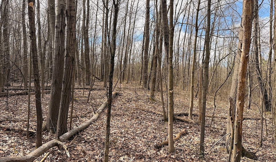 1st image of Addison Rd SE Lot Wp001