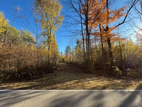 V/l 9 Mile Rd, Reed City, MI 49677