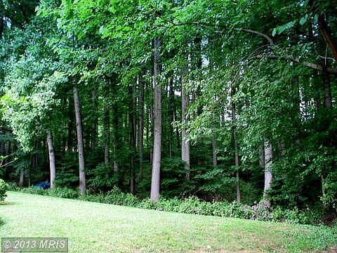 2nd image of 12011 Devilwood Dr