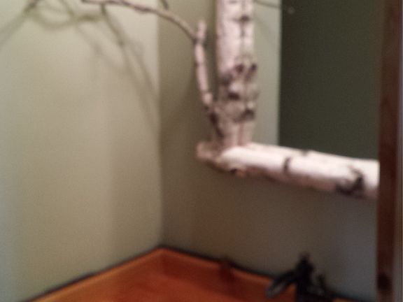 First Floor Half Bath