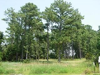 2nd image of 4526 E Marsh Wood LOT 19