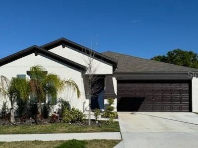 13250 Great Plains Dr, Riverview, FL, 33579