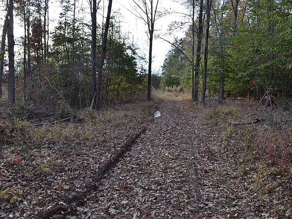2nd image of Section 4-17-21