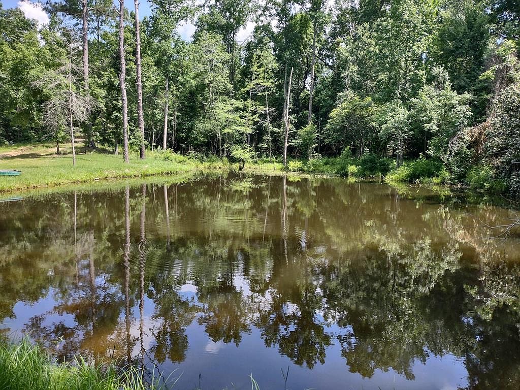 0 Pineville Rd, Buena Vista, GA 31803 Zillow