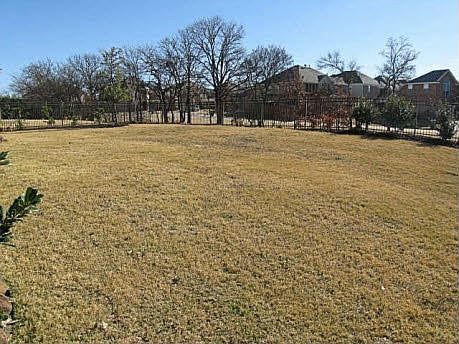 Large Yard backing to a Greenbelt/Creek