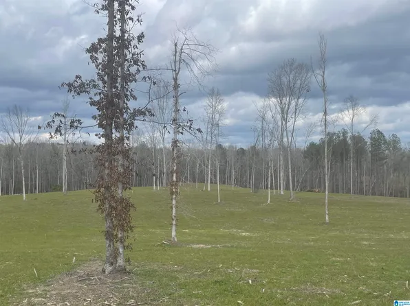 3 Truman Aldrich Pkwy #14, West Blocton, AL 35184