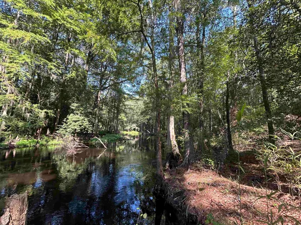 TBD Mount Calvary Rd., Dillon, SC 29536