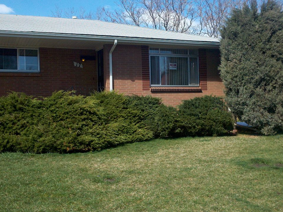 Front yard