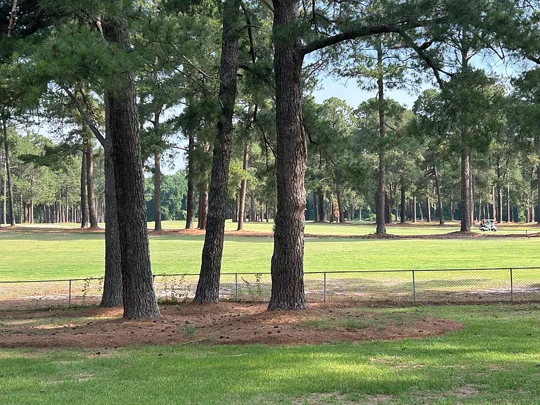 358 Country Club Rd — Photo 3