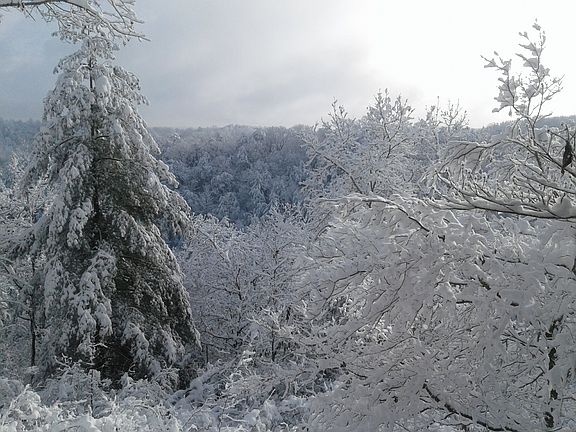 Snowy Day from Upper Porch