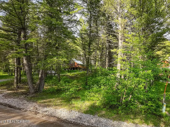 100 Redwood Dr, Thayne, WY 83127