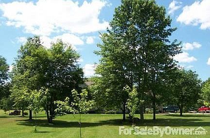 Front Yard Facing House