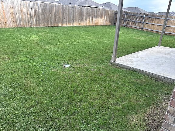 Back yard