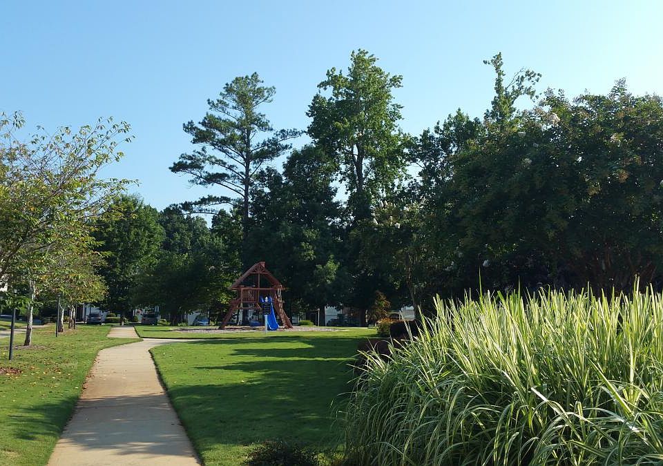 Play Ground