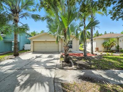 18312 Snowdonia Dr, Land O Lakes, FL, 34638