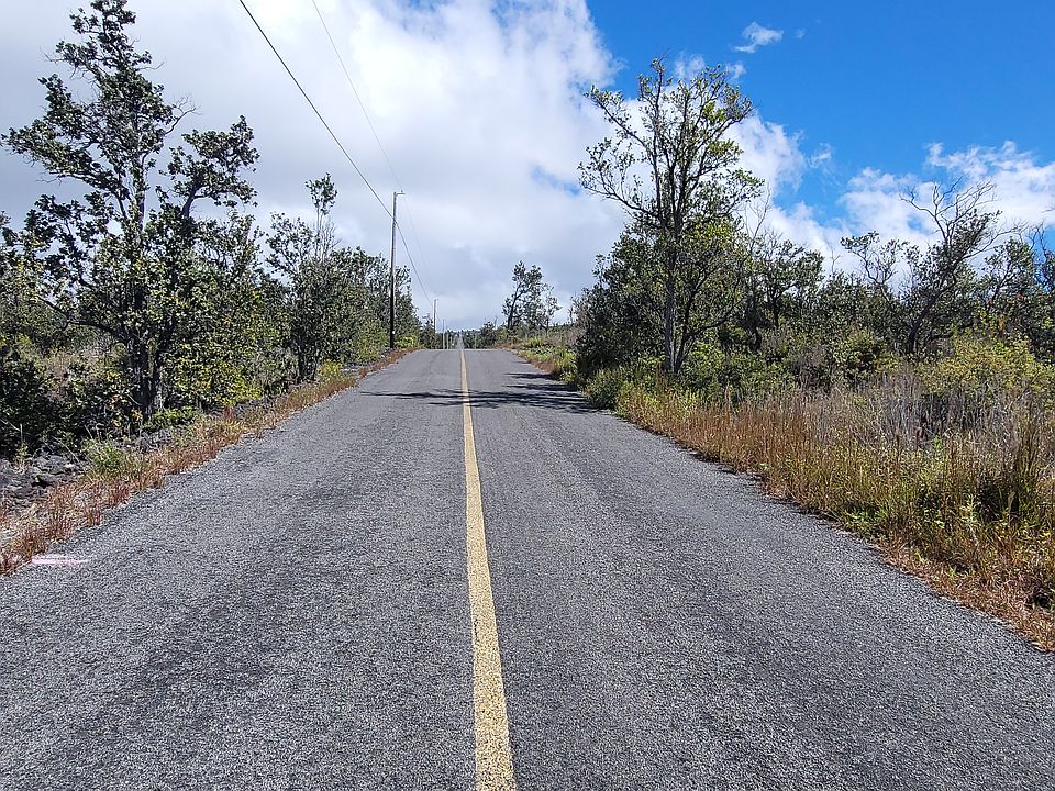 2nd image of BAMBOO LN