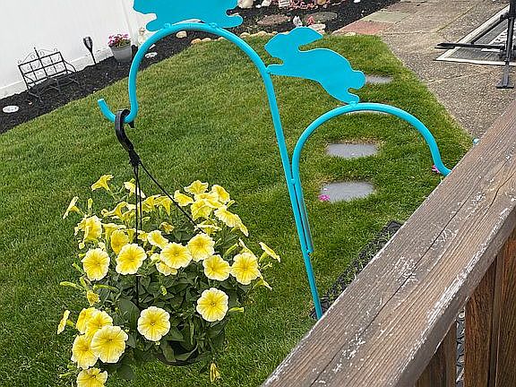 Yard