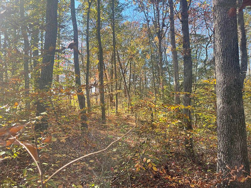 1st image of LOT 201 Stillwater Blvd