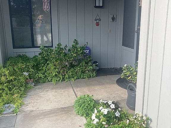 Beautiful court yard
