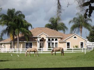 787 Lemon Bluff Rd, Osteen, FL 32764