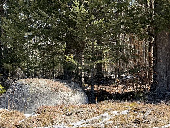 5th image of 259 Page Hill Road