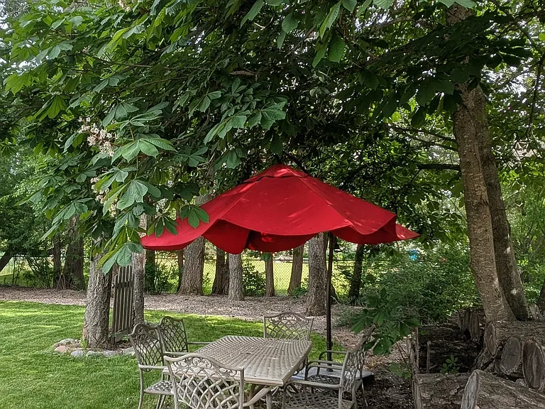 Side yard patio furniture and umbrella included.