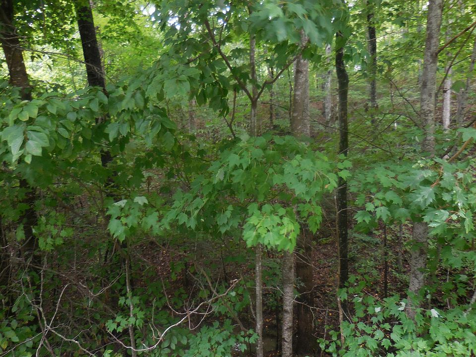1st image of 46 Murray Ridge Rd Lot 46