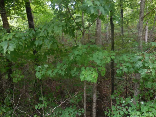 46 Murray Ridge Rd Lot 46, Sevierville, TN 37876