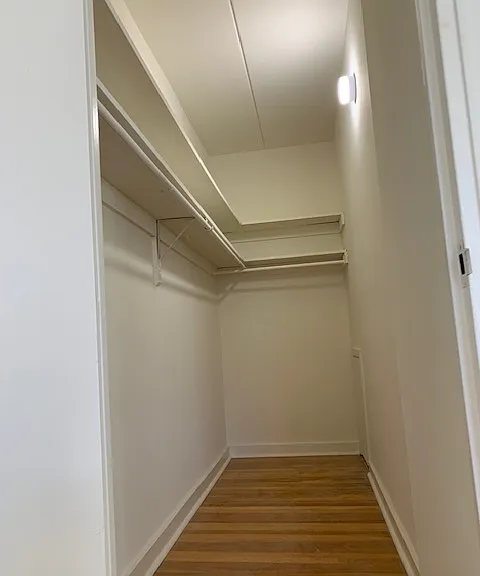 Main Line Village — Photo 11