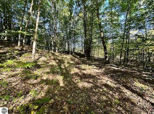 PARCEL Shanty Creek Rd #D, Bellaire, MI 49615