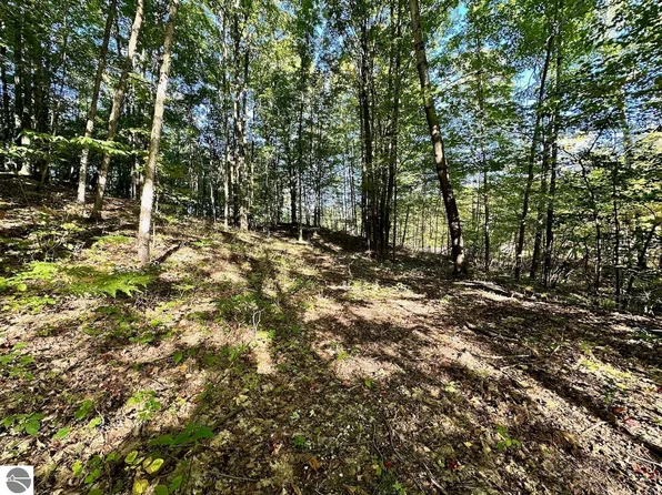 PARCEL Shanty Creek Rd #D, Bellaire, MI 49615