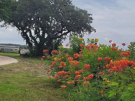 5th image of 3707 S State Highway 173 N