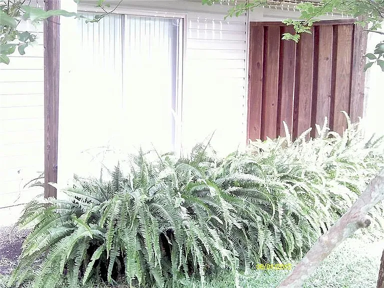 Courtyard — Photo 12