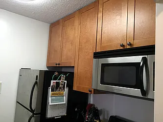 Rented by Manhattan Skyline