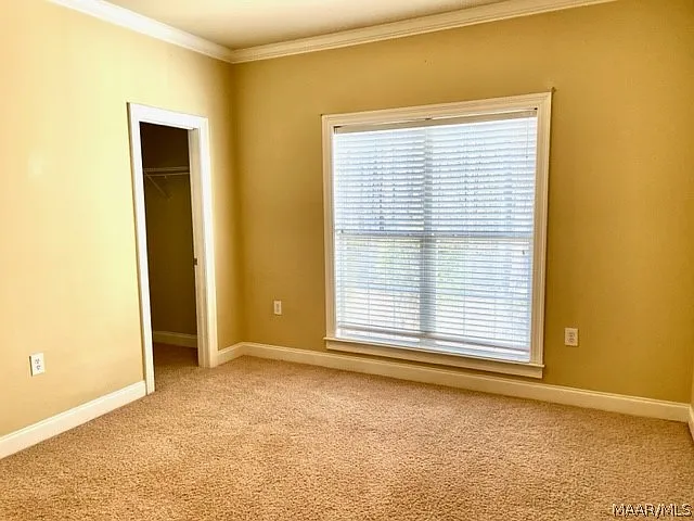 10 Birchwood Ln — Photo 17