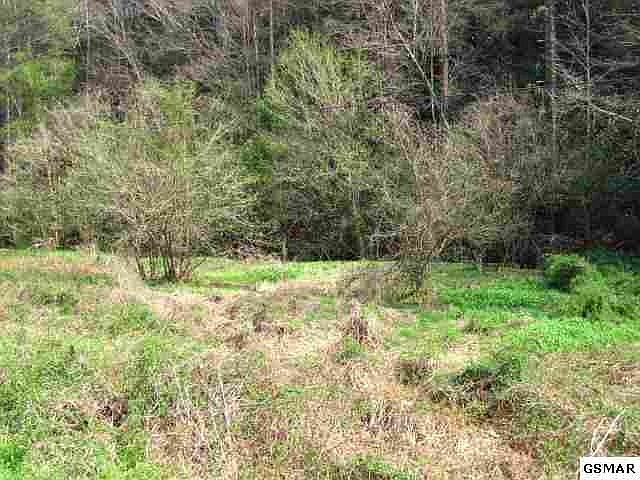 1st image of 21 Oldham Creek Rd Lot 21