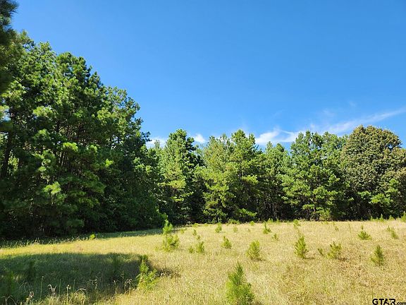 3rd image of 14192 County Road 1131