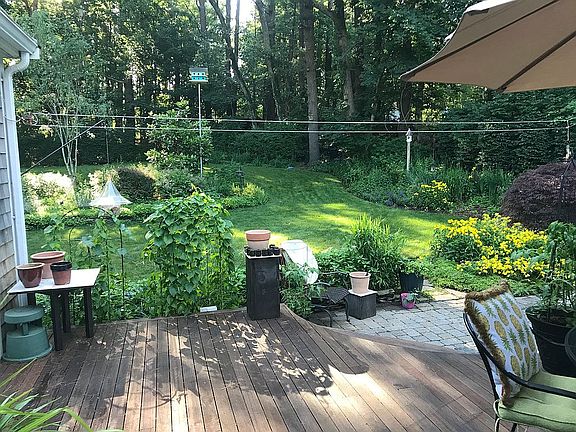 view from kitchen sink