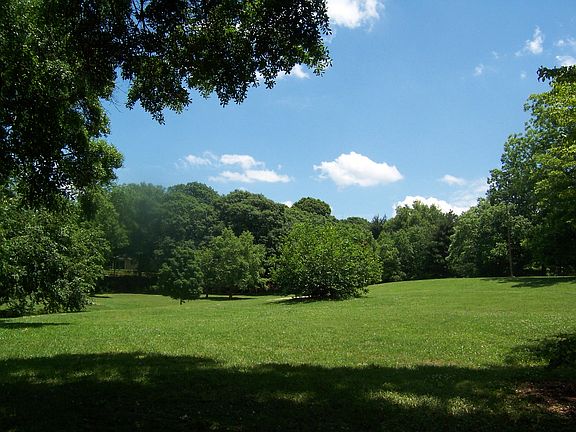 View From Porch