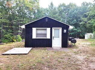 316 4th St, Fife Lake, MI 49633