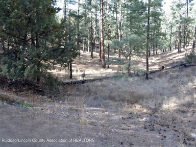 LOT 9 Alto Dr, Alto, NM, 88312