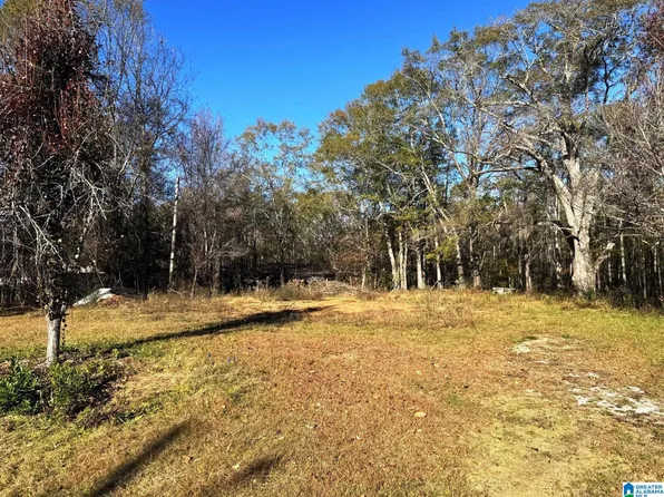 39684 Highway 77, Ashland, AL 36251